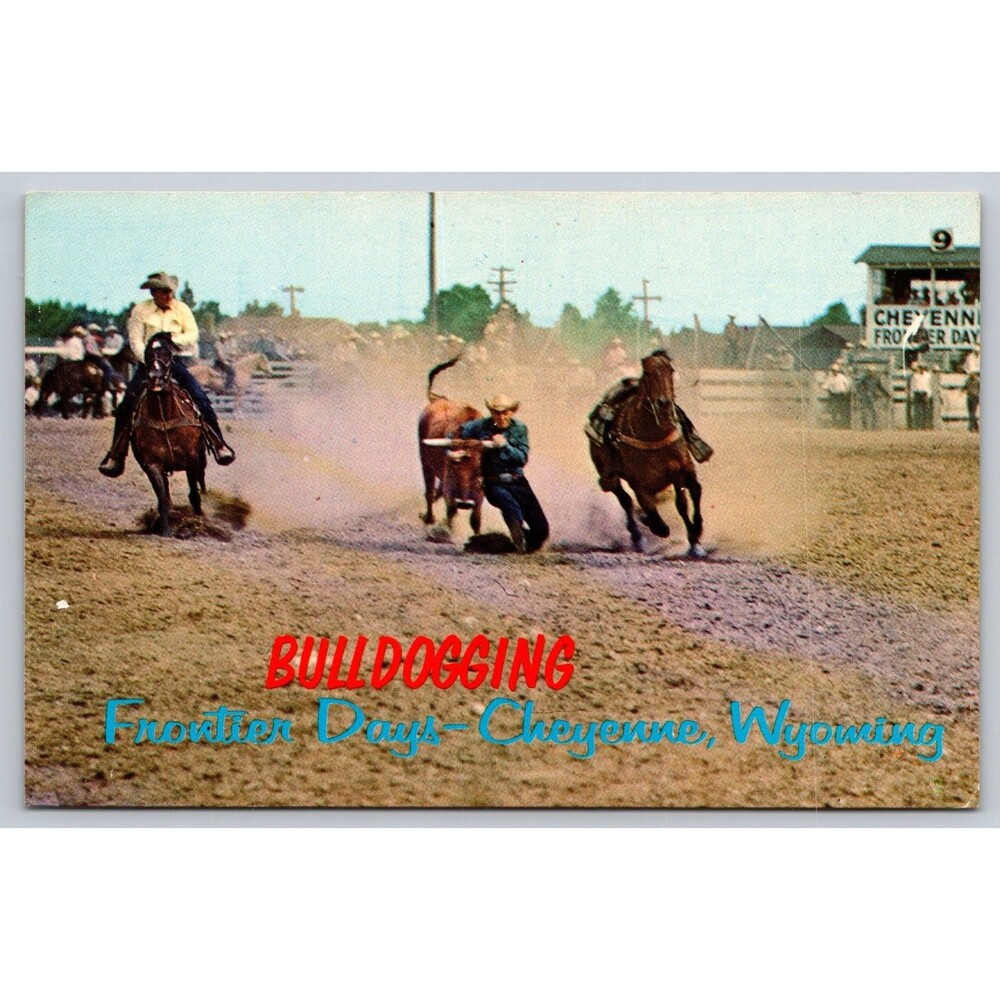 Postcard Wyoming Cheyenne Frontier Days Bulldogging Unposted c1970s Cowboys Bull